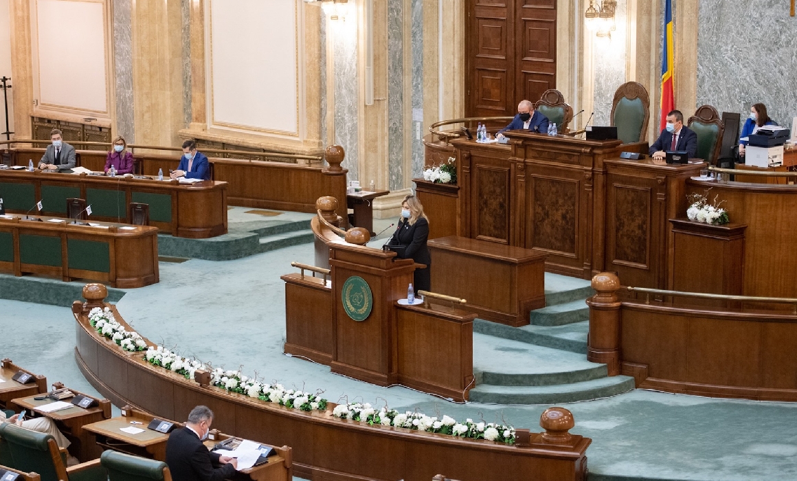 Editorial. Cine își dă girul pentru noua lege a educației. Membrii comisiei decizionale din Senatul României