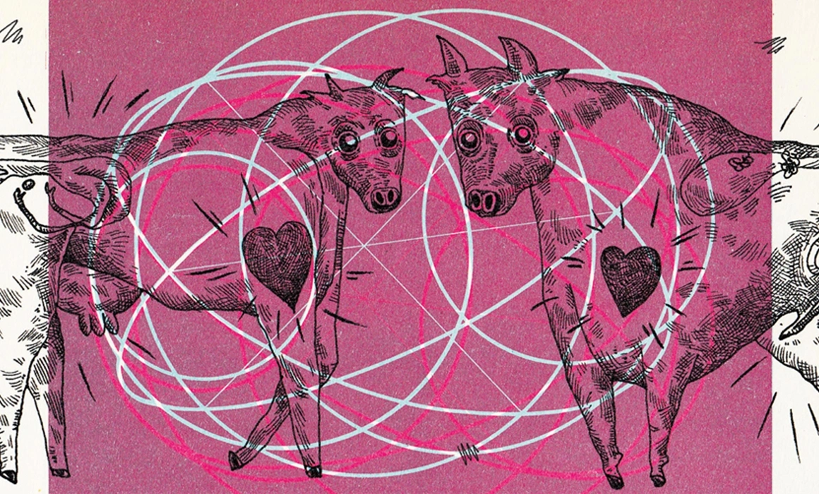 Despre sex, la liceul agricol Despre sex, la liceul agricol