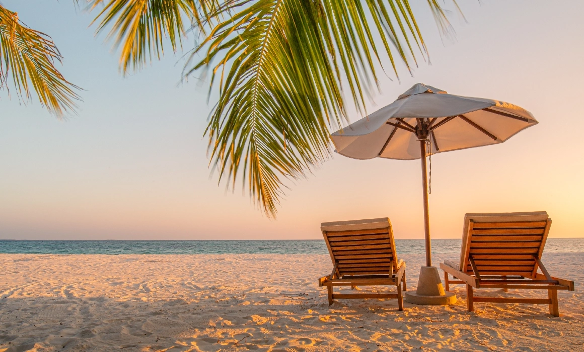 Ce fac profesorii în vacanța de vară Ce fac profesorii în vacanța de vară