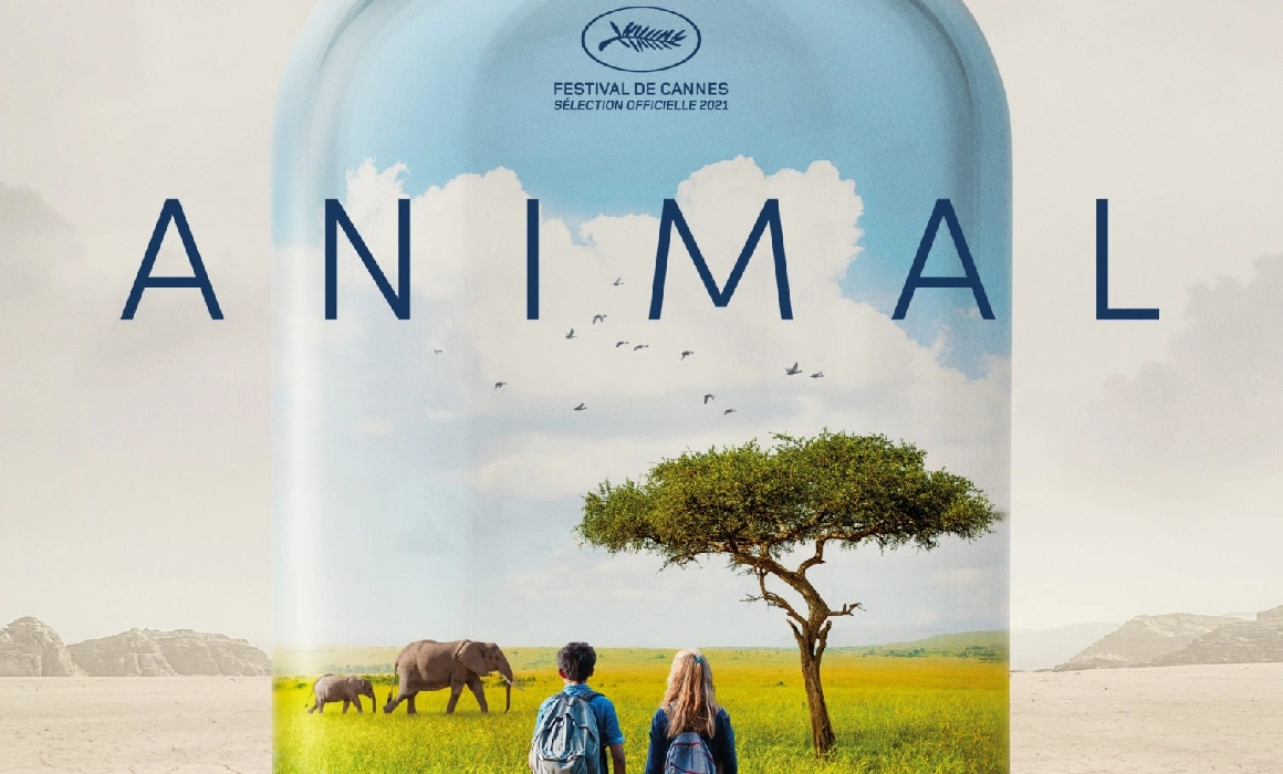 Filme de mediu la pachet cu ateliere de descoperit lilieci, picnic sustenabil și târg de haine. Începe Cinemateca CULMEA la Brașov Filme de mediu la pachet cu ateliere de descoperit lilieci, picnic sustenabil și târg de haine. Începe Cinemateca CULMEA la Brașov